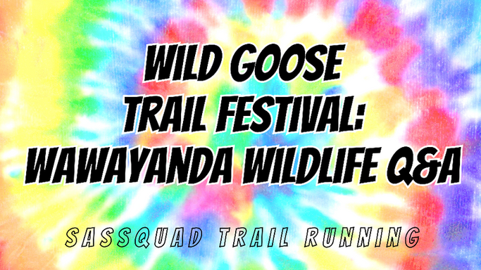 t-1756940632869-96d4f